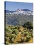 Elevated View Towards the Picture Perfect Hilltop Town of Olvera, Olvera, Cadiz Province, Andalusia-Doug Pearson-Stretched Canvas