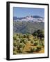Elevated View Towards the Picture Perfect Hilltop Town of Olvera, Olvera, Cadiz Province, Andalusia-Doug Pearson-Framed Photographic Print
