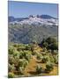 Elevated View Towards the Picture Perfect Hilltop Town of Olvera, Olvera, Cadiz Province, Andalusia-Doug Pearson-Mounted Photographic Print