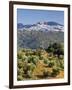 Elevated View Towards the Picture Perfect Hilltop Town of Olvera, Olvera, Cadiz Province, Andalusia-Doug Pearson-Framed Photographic Print