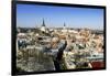 Elevated Winter View Over the Old Town, Tallinn, Estonia, Baltic States-Gavin Hellier-Framed Photographic Print