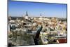Elevated Winter View Over the Old Town, Tallinn, Estonia, Baltic States-Gavin Hellier-Mounted Premium Photographic Print