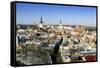 Elevated Winter View Over the Old Town, Tallinn, Estonia, Baltic States-Gavin Hellier-Framed Stretched Canvas