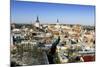 Elevated Winter View Over the Old Town, Tallinn, Estonia, Baltic States-Gavin Hellier-Mounted Photographic Print