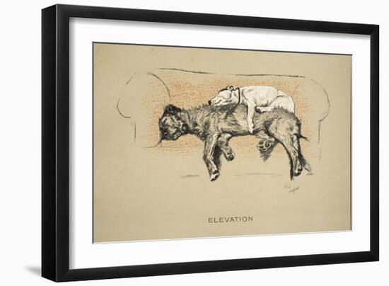 Elevation, 1930, 1st Edition of Sleeping Partners-Cecil Aldin-Framed Giclee Print