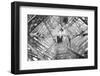 Elevator Shaft of the Eiffel Tower-null-Framed Photographic Print