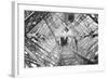 Elevator Shaft of the Eiffel Tower-null-Framed Photographic Print