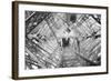 Elevator Shaft of the Eiffel Tower-null-Framed Photographic Print