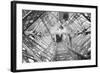 Elevator Shaft of the Eiffel Tower-null-Framed Photographic Print