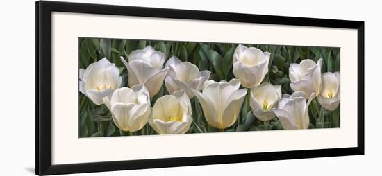 Eleven White Tulips-Edward Loedding-Framed Art Print