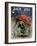 Elf in the Rain - Jack and Jill, April 1956-Ruth Bendel-Framed Premium Giclee Print