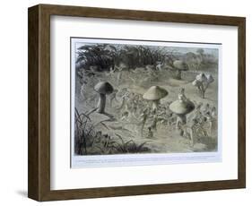 Elfin Dance by Night, in Fairyland: A Series of Pictures from the Elf-World, Allingham and Lang-Richard Doyle-Framed Giclee Print
