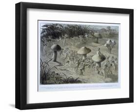 Elfin Dance by Night, in Fairyland: A Series of Pictures from the Elf-World, Allingham and Lang-Richard Doyle-Framed Giclee Print