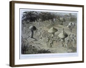 Elfin Dance by Night, in Fairyland: A Series of Pictures from the Elf-World, Allingham and Lang-Richard Doyle-Framed Giclee Print