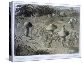 Elfin Dance by Night, in Fairyland: A Series of Pictures from the Elf-World, Allingham and Lang-Richard Doyle-Stretched Canvas