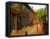 Elfreth's Alley, Philadelphia, Pennsylvania, USA-Ellen Clark-Framed Stretched Canvas