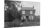 Wood Mount