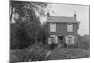 Wood Mount