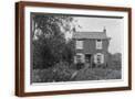 Brown Frame