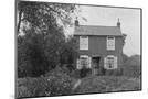 Wood Mount