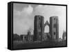 Elgin Cathedral-null-Framed Stretched Canvas