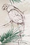 Sketched Birds-Eli Jones-Art Print