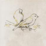 Sketched Birds-Eli Jones-Art Print