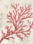 Damask Coral I-Eli Jones-Art Print