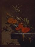 Still Life of an Orange, a Lemon and Strawberry on a Pewter Plate, a Wan-Li Bowl Behind-Elias Van Den Broeck-Giclee Print