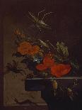 Still Life of Forest Floor with Flowers, Mushrooms and Snails-Elias Van Den Broeck-Giclee Print