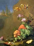 Still Life of Forest Floor with Flowers, Mushrooms and Snails-Elias Van Den Broeck-Giclee Print