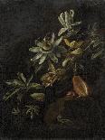 Still Life of Forest Floor with Flowers, Mushrooms and Snails-Elias Van Den Broeck-Framed Giclee Print