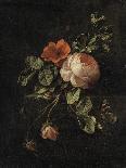 Still Life with Roses-Elias Van Den Broeck-Art Print