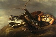 Still Life with Lobster, Crabs, Mussels and Fish-Elias Vonck-Framed Stretched Canvas