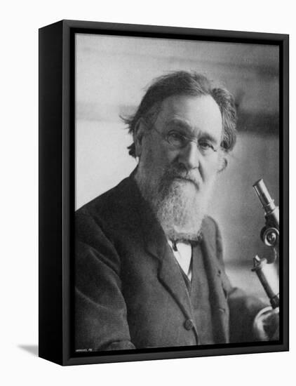 Elie Metchnikoff (Ilya Ilich Mechnikov) Russian Zoologist and Bacteriologist-Manuel-Framed Stretched Canvas
