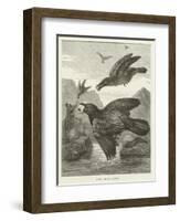 Elijah Fed by Ravens-null-Framed Giclee Print