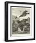 Elijah Fed by Ravens-null-Framed Giclee Print