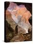 Elijah in the desert of Horeb - Bible-William Brassey Hole-Stretched Canvas