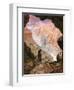 Elijah in the Desert of Horeb-William Brassey Hole-Framed Premium Giclee Print