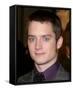 Elijah Wood-null-Framed Stretched Canvas