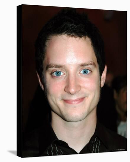 Elijah Wood-null-Stretched Canvas
