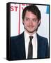 Elijah Wood-null-Framed Stretched Canvas