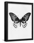 Essential Black