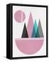 Framed Canvas