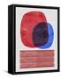 Framed Canvas