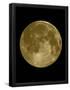 Essential Black
