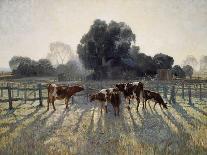 Frosty Sunrise-Elioth Gruner-Mounted Giclee Print