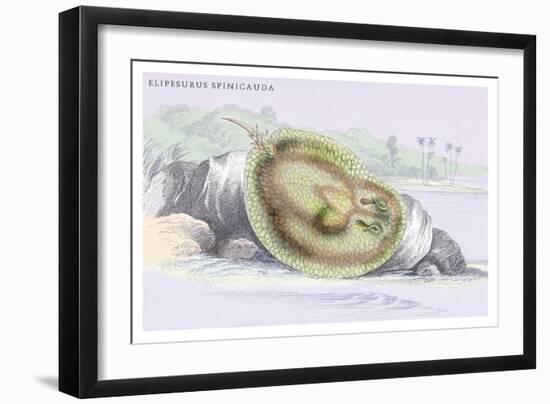 Elipersurus Spinicauda-Robert Hermann Schomburgk-Framed Premium Giclee Print