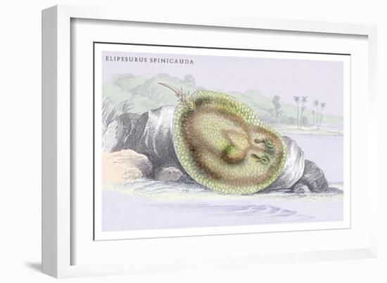 Elipersurus Spinicauda-Robert Hermann Schomburgk-Framed Premium Giclee Print