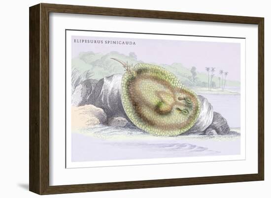Elipersurus Spinicauda-Robert Hermann Schomburgk-Framed Art Print